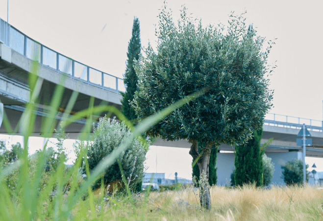 Road bridge near Athens International Airport