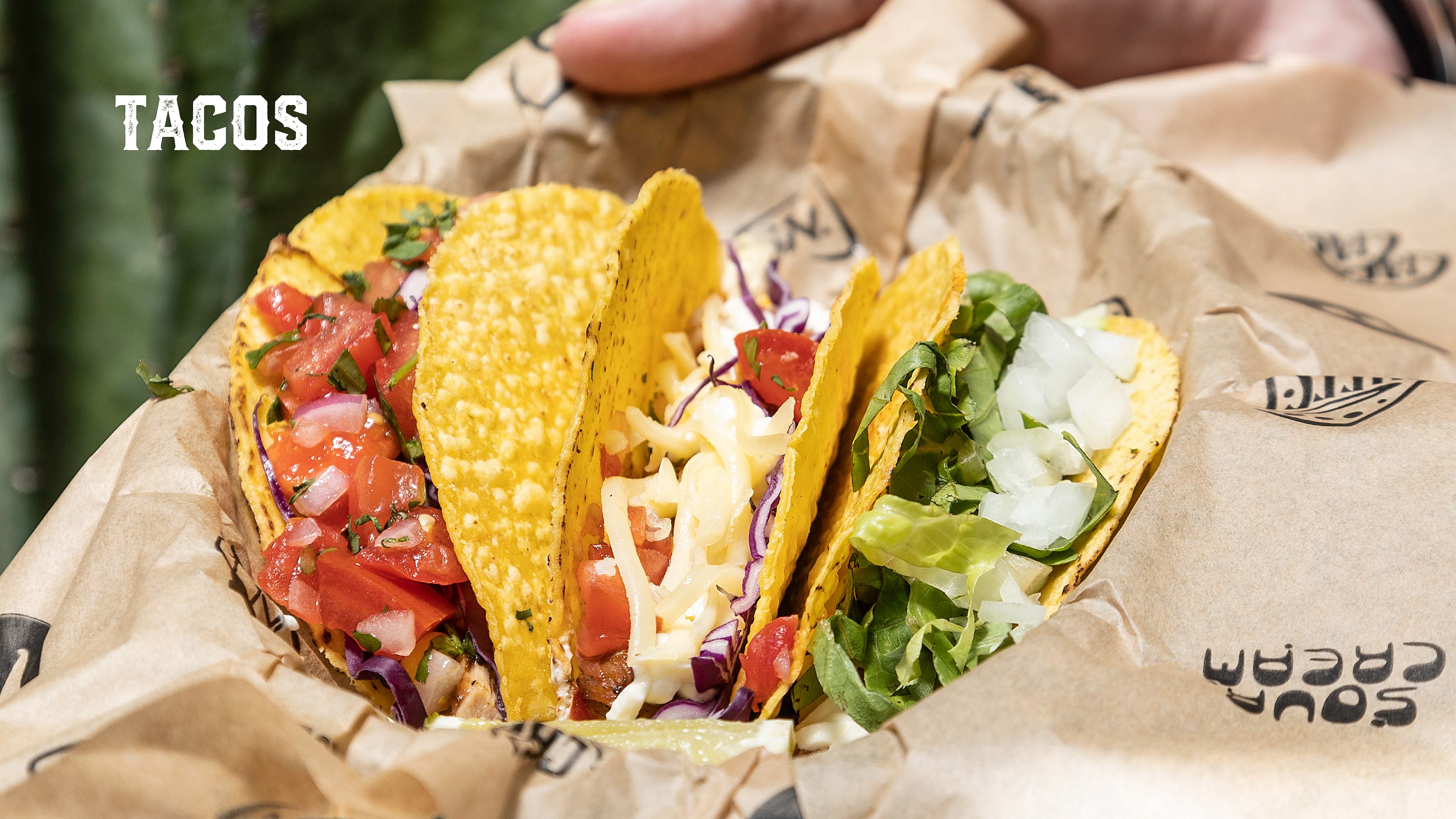 tacos