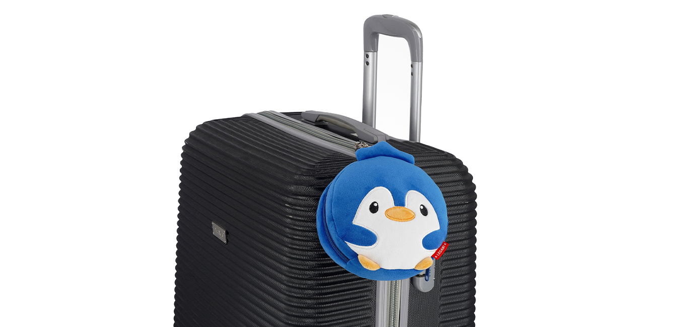 αξεσουάρ ταξιδιού