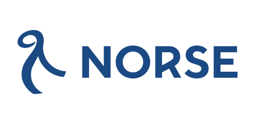 norse atlantic airways logo